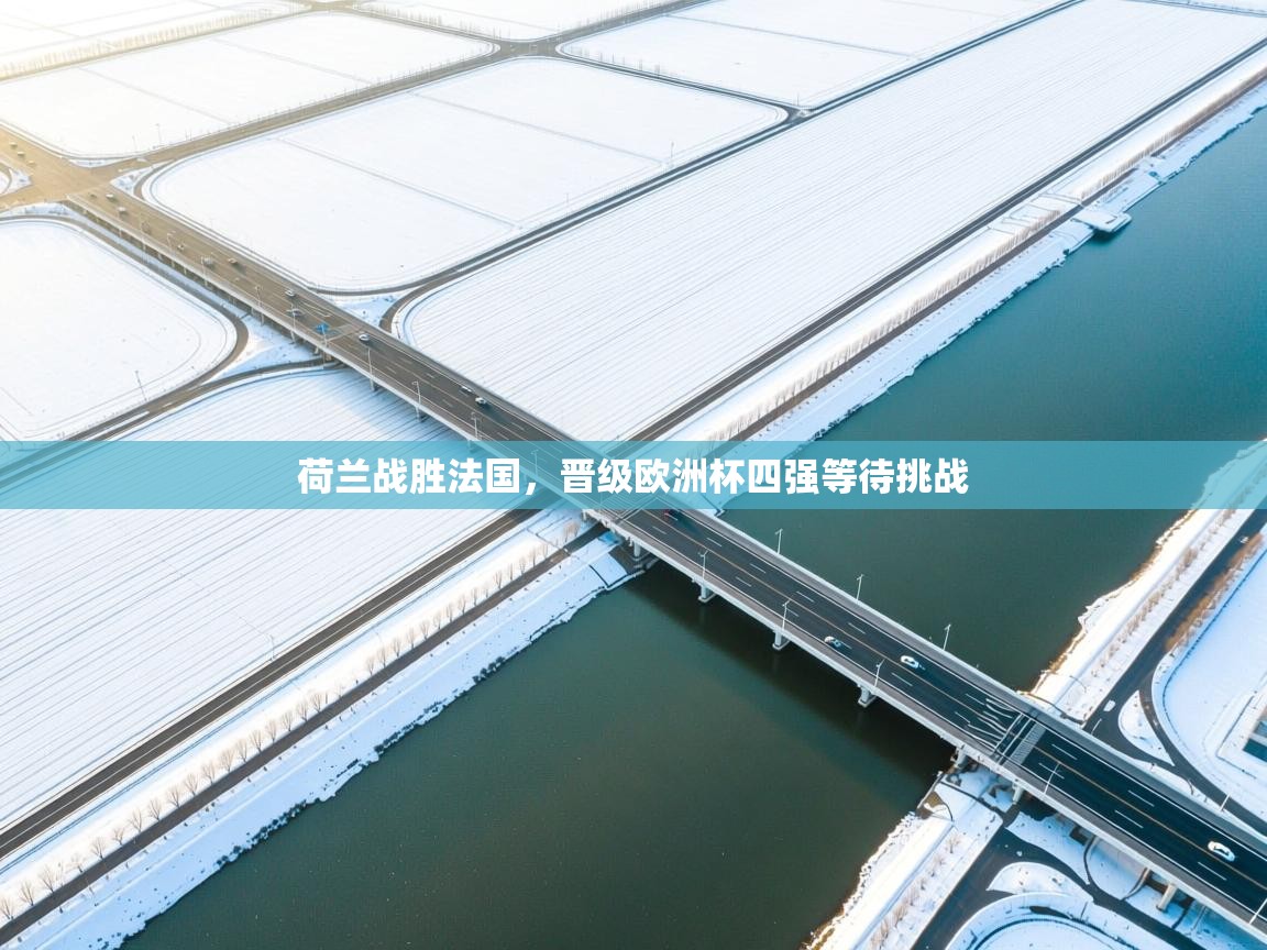 荷兰战胜法国，晋级欧洲杯四强等待挑战  第2张