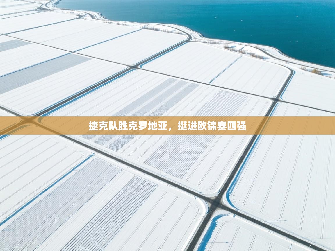 捷克队胜克罗地亚,挺进欧锦赛四强 第2张