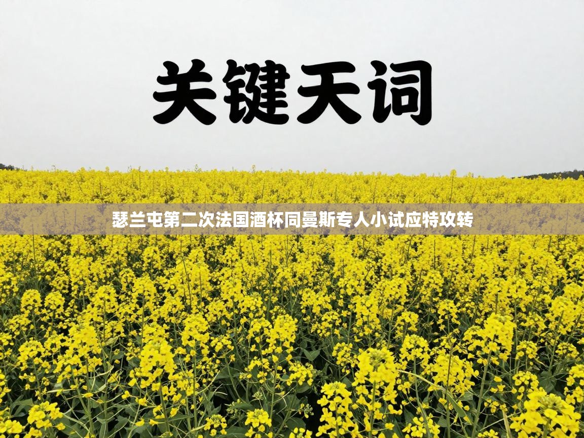 瑟兰屯第二次法国酒杯同曼斯专人小试应特攻转  第2张