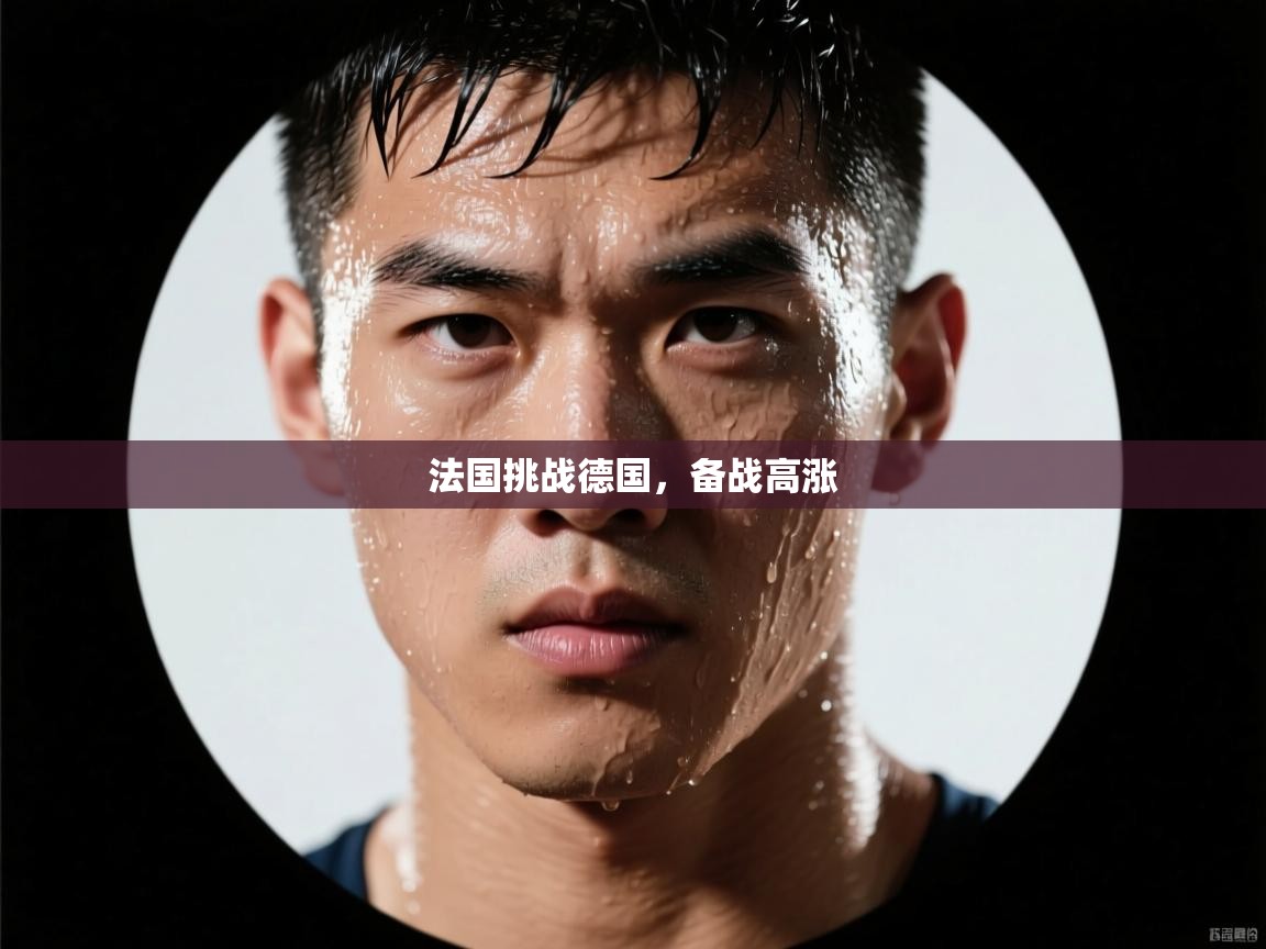 法国挑战德国,备战高涨 第2张