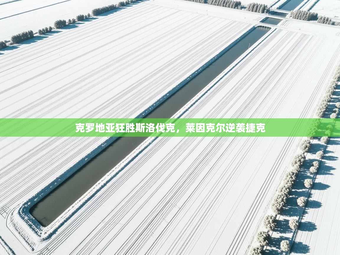 克罗地亚狂胜斯洛伐克,莱因克尔逆袭捷克 第1张